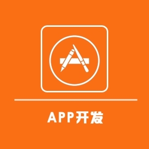 福州专业的app开发公司