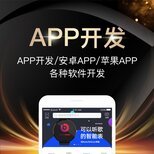福州软件开发小程序制作网站建设哪家好?