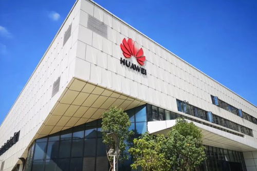 谷歌做出让步,鸿蒙 突围 局面已成